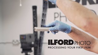 Processing Black amp White Film [upl. by Abad]