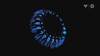 Bioluminescence in the deep sea How and why do animals create their own light [upl. by Oinotnas285]