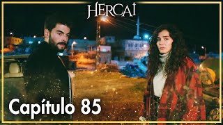 Hercai  Capítulo 85 [upl. by Tallu]