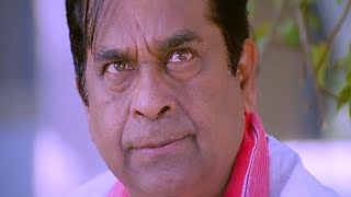 Brahmanandam Super Comedy Scenes  Telugu Comedy Scenes 2024  Funtastic Comedy [upl. by Nalepka899]