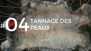 TANNAGE DES PEAUX │LFDT 04 [upl. by Nissy]