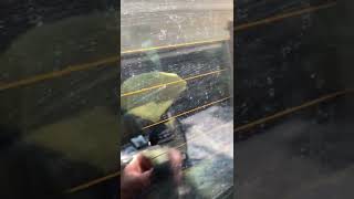 How To Remove Hard Water Spots on Automotive Glass the EASY Way automotive detailing hardwater [upl. by Moselle553]