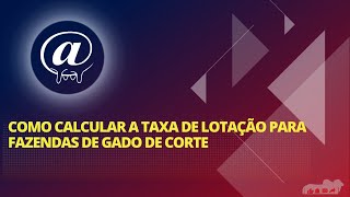 como calcular taxa de lotação [upl. by Mitzi]