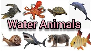 Water Animals Name  जलीय जानवरों के नाम  Sea Animals Name  Water Animals Name with Pictures [upl. by Akeemaj]