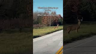 Why is it like this hunting deer deerhunting outdoors buck whitetail bowhunting rut [upl. by Neela324]