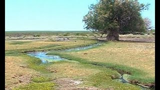 La Pampa balnearios termas y fiestas populares en la extensa llanura del gaucho [upl. by Zak555]