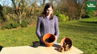 How to plant bulbs with Van Meuwen [upl. by Jolee]