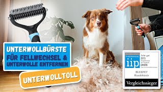 So entfernst du Unterwolle  Mit der richtigen Unterfellbürste für Hund amp Katze [upl. by Arhez174]