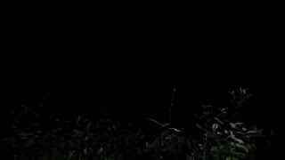 🔴 Live Misteri Hantu K3PALA PUNTUNG Wanita [upl. by Sorkin]