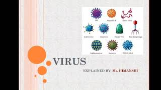 virus ultrastructure and morphology viral capsid  viral genome  prions virion  viroids [upl. by Htiduy]