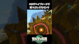 【ティアキン】コログベイブレードを作って暇つぶしするリンク【ゼルダの伝説 ティアーズ オブ ザ キングダム】 [upl. by Jenilee440]