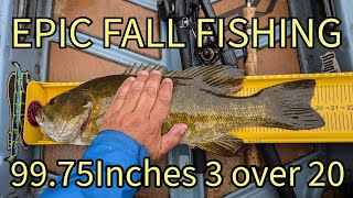 EPIC FALL FISHING 99 75 inches of River Smallmouth 3 over 20 [upl. by Yarezed]