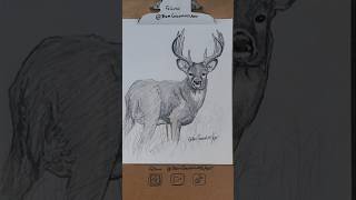 Monster Buck drawing with markers drawing wildlifeart [upl. by Frederick]