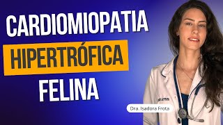 CARDIOMIOPATIA HIPERTRÓFICA FELINA [upl. by Groome679]