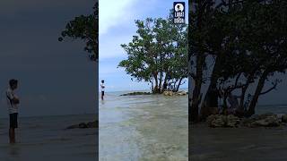 BONISTA BEACH RESORT  Sitio Bonbon1 Brgy Buenavista Escalante PHILIPPINES [upl. by Moraj250]