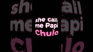 Papi Chulo 🎶 Octavian amp Skepta  lyrics music papichulo skepta lyriclymedia octavian lyricly [upl. by Ahouh98]