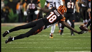 AJ Green  Lockjaw  NFL Highlights ᴴᴰ [upl. by Kreegar]