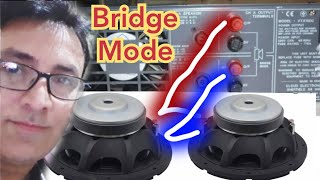 BRIDGE Mode in amplifier explained Stay Home WithMe [upl. by Nyre]