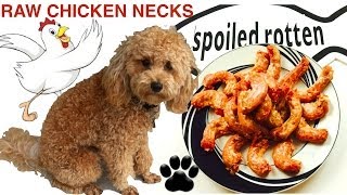 How to make RAW CHICKEN NECKS FOR DOGS DIY RAW Dog Food  a tutorial by Cooking For Dogs [upl. by Zoltai]