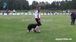 Finals – Christine Hahn  Wings of Hope Eternal Hero  Border Collie – GERMANY [upl. by Tiena946]