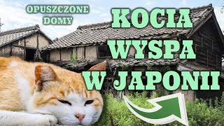 KOCIA WYSPA W JAPONII  OPUSZCZONE DOMY 15 [upl. by Gussi]