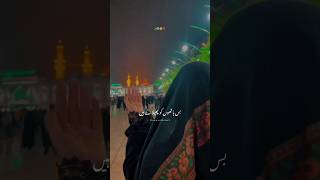 Ya Abbas SaQa Sakina as viralshort nohay [upl. by Nason]