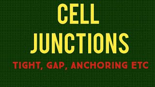 CELL JUNCTIONS  TIGHT JUNCTIONS GAP JUNCTIONS DESMOSOMES ANCHORING JUNCTIONS CSIR NET [upl. by Yalahs409]