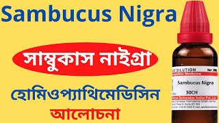 Sambucus Nigra Homeopathic Medicine Explain Sambucus Q Sambucus 30 Sambucus 200 সাম্বুকাস নাইগ্ৰা [upl. by Nahgem]