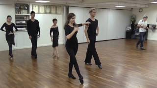 SODC201612 Nov 2016 Latin Lecture by Troels amp Ina Part 3 [upl. by Gentilis]