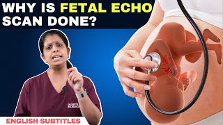 Why is fetal echo scan done  கருவிலேயே குழந்தையின் இதய குறைபாடுகளை கண்டுபிடிக்க முடியமா [upl. by Merrow]