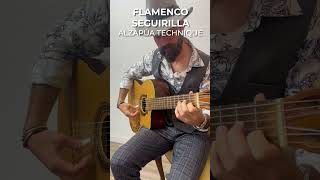 Flamenco Seguiriya  Basic Technique amp Strumming [upl. by Niels]