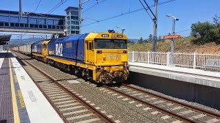 Transport for NSW Vlog No322 Shellharbour Junction [upl. by Jonis]