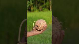 Bamboo Creations with Coconut slingshots Bamboo Diy Slingshots Bambooart [upl. by Arec]