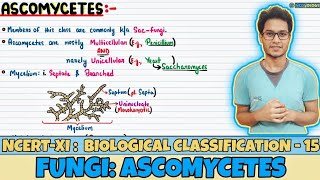 Biological Classification Lec 15 Fungi Ascomycetes Class 11 NEET Neetology [upl. by Garibald]