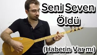 Seni Seven Öldü Haberin Var mı Kısa Sap Bağlama [upl. by Welford]