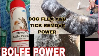 Best Tick Powder For Dog  Flea And Tick Remove For 2 Minutes In Dogs Body [upl. by Vina]