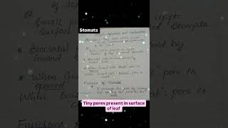 Stomata simple explanation [upl. by Leummas]