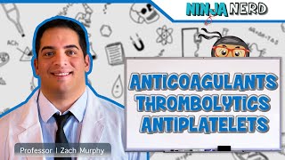 Renal  Autoregulation Updated [upl. by Enomad873]