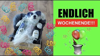 😂Endlich Wochenende  Wochenendmodus [upl. by Ahron]