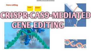 Crisprcas9 mediated gene editing ll CSIRNET life science ll xgene amp proteinx [upl. by Sumahs]