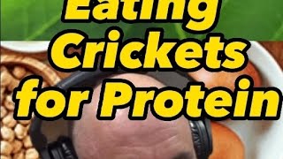 Non meat protein sources Crickets eatingcrickets protein shorts [upl. by Noland]