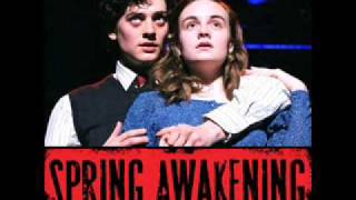 The London Theatre Cast  Aneurin Barnard Spring Awakening [upl. by Gona]