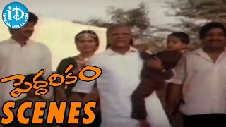 Peddarikam  Muddula Janaki Pelliki Video Song  Jagapathi Babu  Sukanya [upl. by Ynohtnaluap]