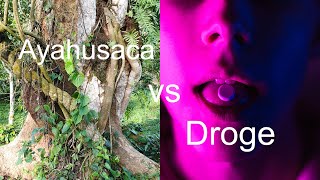 Ist Ayahuasca eine Droge [upl. by Nemra415]