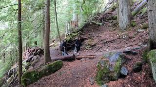 Nairn Falls Part 2 at Pemberton BC Canada Oct 012024 [upl. by Jordison]