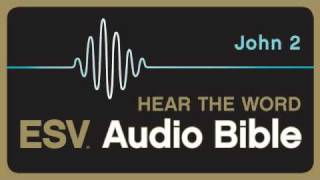 ESV Audio Bible Gospel of John Chapter 2 [upl. by Jabon233]