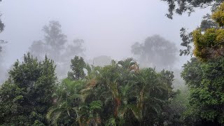 Mystical Morning Fog in Brisbane QLD 🇦🇺 [upl. by Ayekahs676]