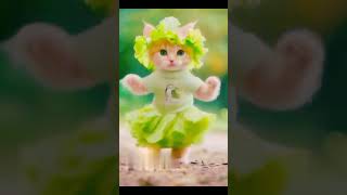 Cat dance catdance cat dance cutecatdancing shorts [upl. by Wernher57]