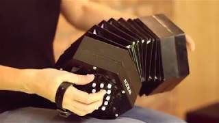 The Wren 2 Concertina [upl. by Clift]