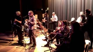 Morpeth Ukulele Orchestra Concert JoleneAce of SpadesStarman 26th January 2016 [upl. by Hawkins]